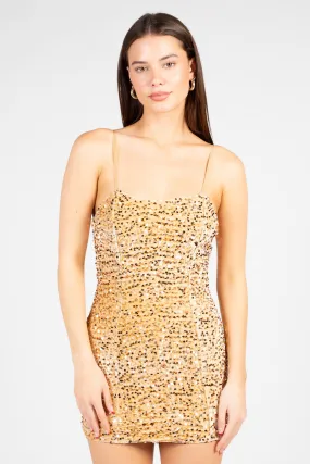 Nina Velvet Sequin Mini Dress