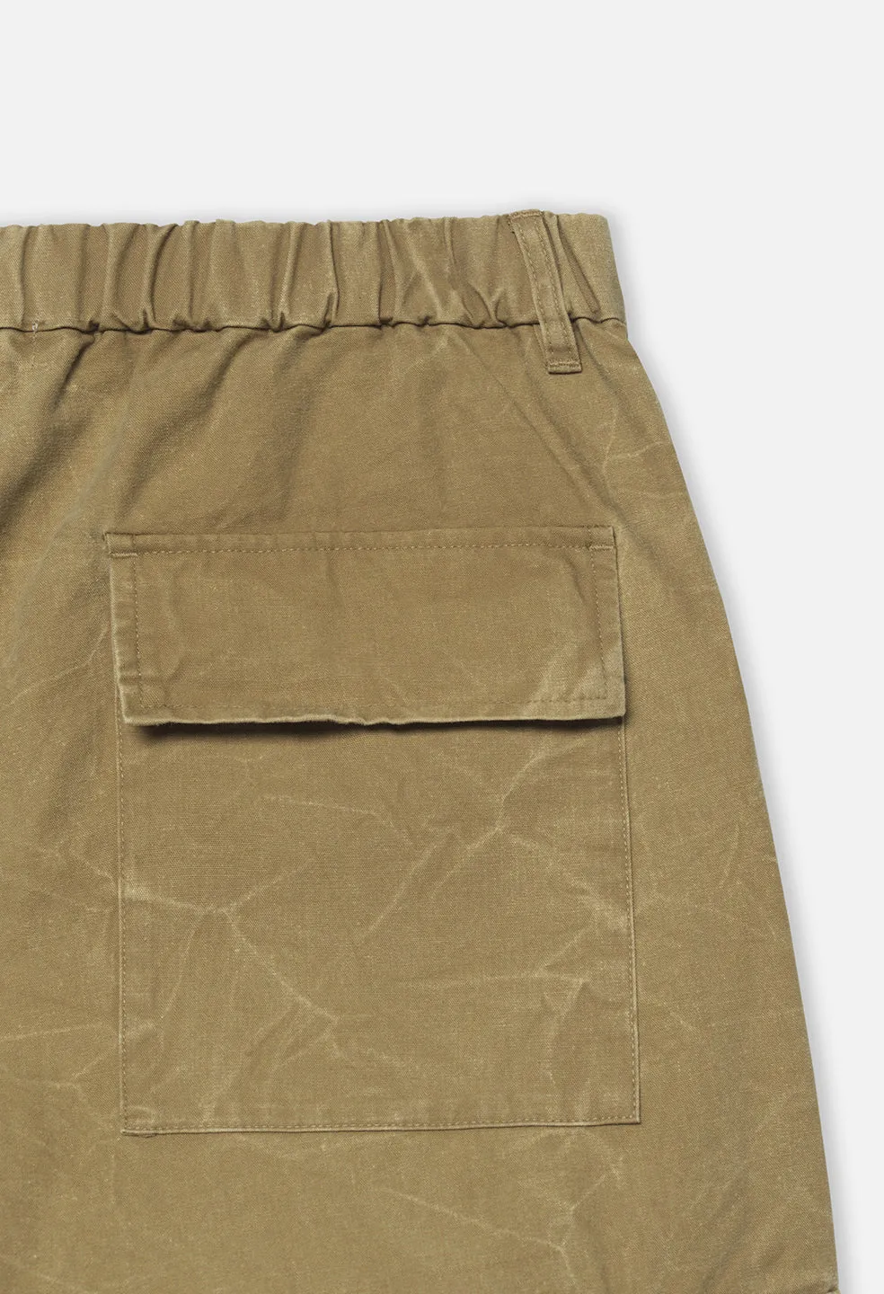 Washed Corpus Cargo Pants / Desert